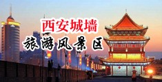 成人黑逼暴艹网中国陕西-西安城墙旅游风景区